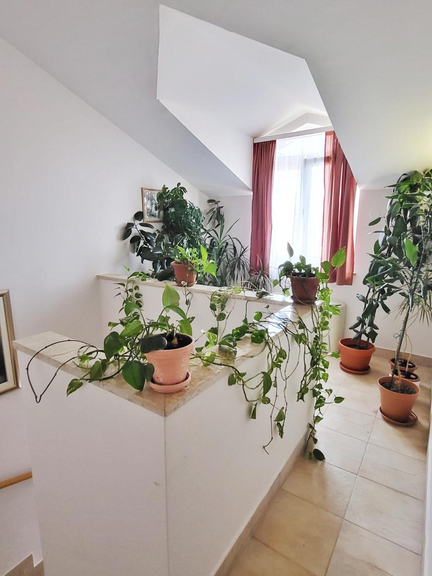 Villa Palcic II Novalja Εξωτερικό φωτογραφία